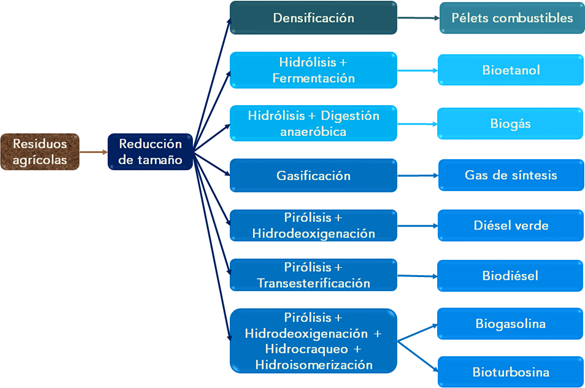 Rutas de conversión de residuos agrícolas para la producción de biocombustibles