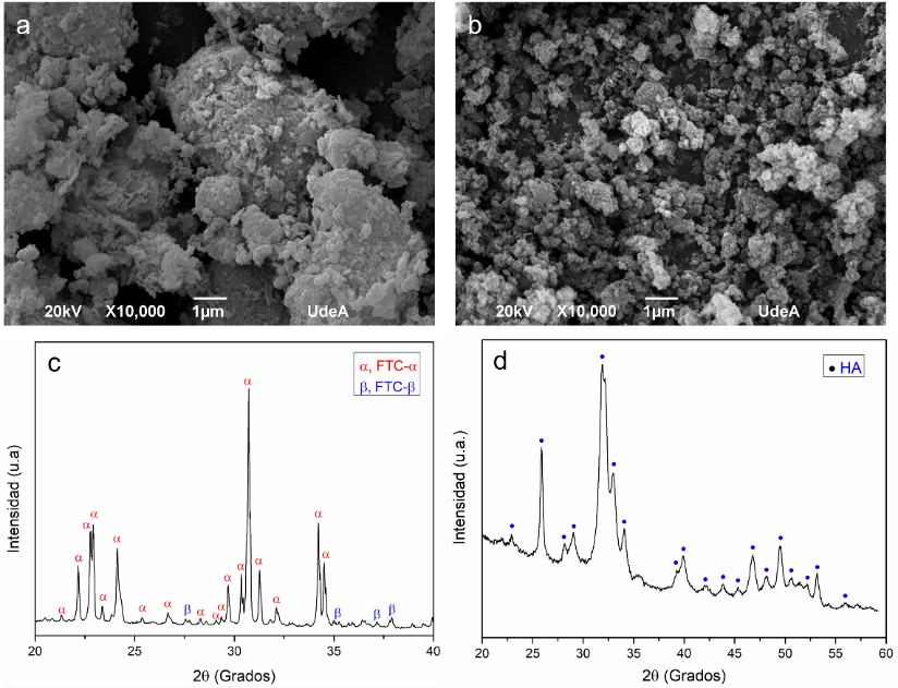 Imágenes MEB a) FTC-α, b) HAC-B, y DRX de c) FTC-α, d) HAC-B