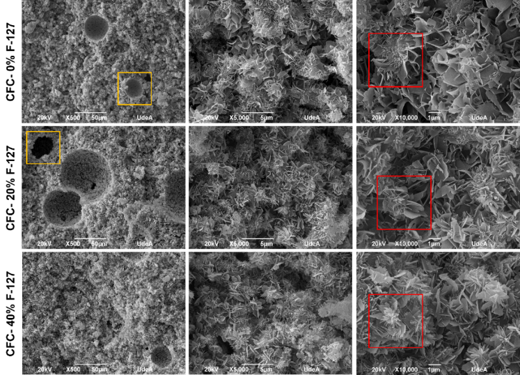 Imágenes MEB correspondientes a la morfología obtenida para las tintas finalizado el proceso de fraguado. Recuadros rojos: morfología de la HADC, Recuadros amarillos: porosidad
