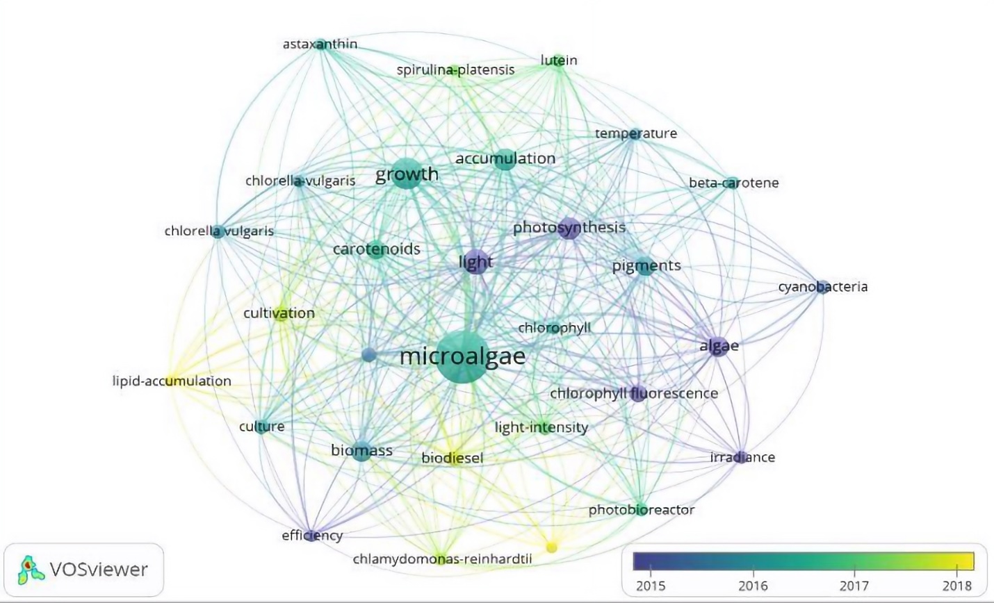 Nodos de correlación de las palabras claves