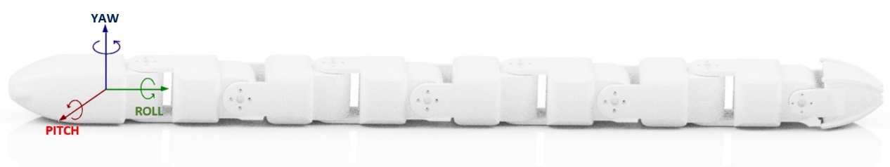 Prototype of the snake robot