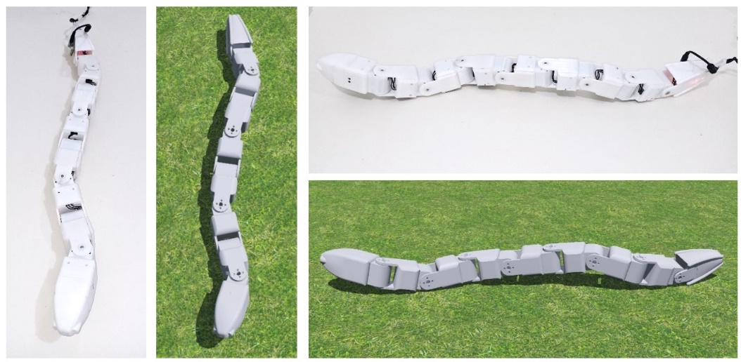 Sidewinding with the real robot and in simulation