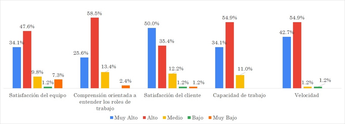 Factores de productividad de equipo en ASD – Categoría Significado
