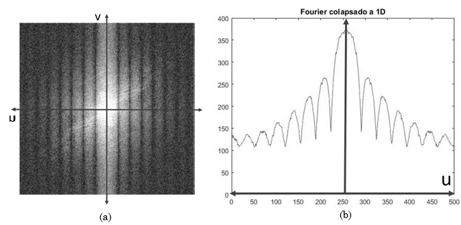 Método de Radon
para la estimación de la longitud.